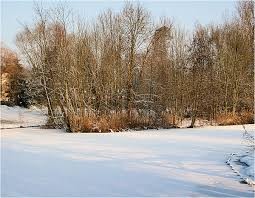 Winters vertellingen